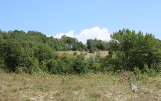Terenuri Carpinis I parcelabil I Curent pe proprietati - Poză 27
