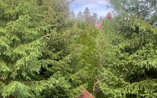 Pensiune de inchiriat/ Predeal - Poză 22