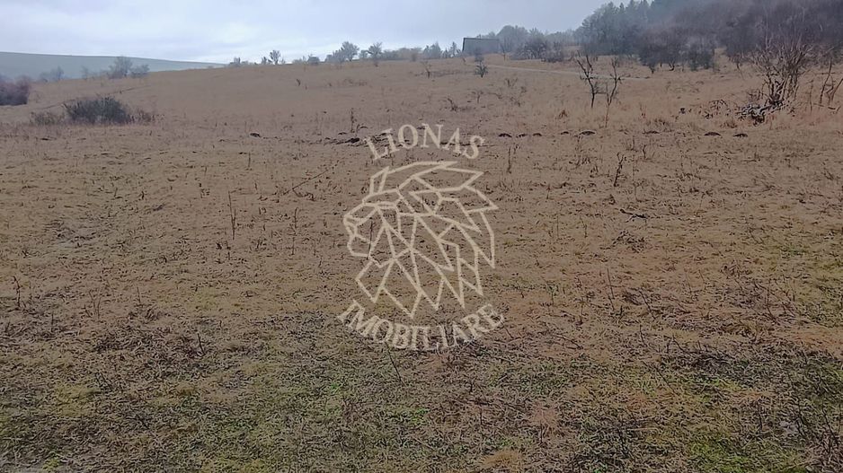 Teren 10000mp intravilan Chinteni 14 case aprobate  Investiție dezvoltator - Poză 1