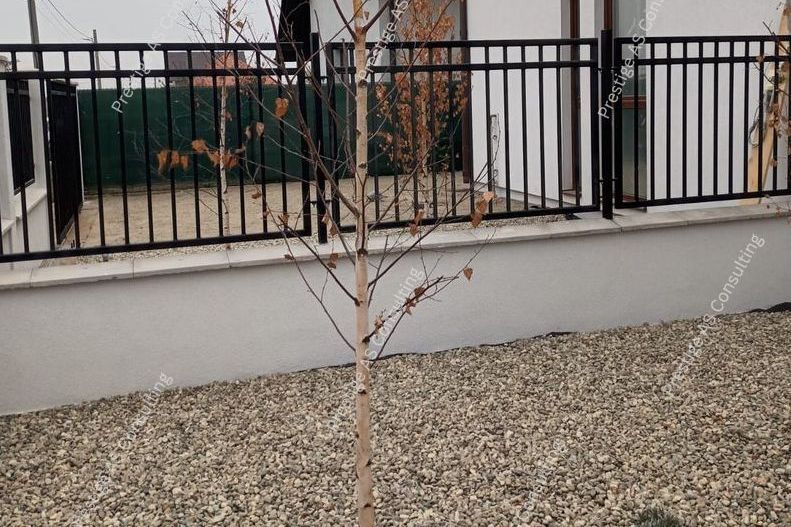 Duplex  4 Camere 250mp Teren| Mosnita Noua-Str Oituz - Poză 4