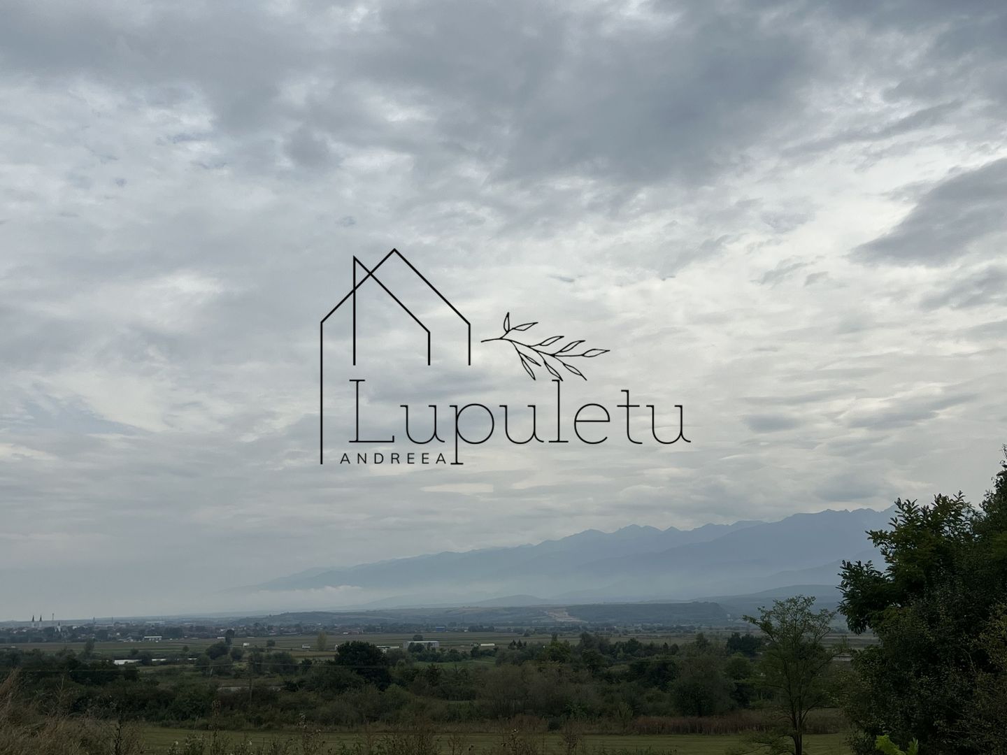 Teren | 1.500 MPU | Bradu - Poză 4