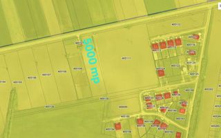 Teren intravilan 5.000 mp, Bucovăț, ideal dezvoltare case ! 0% Comision! - Poză 9