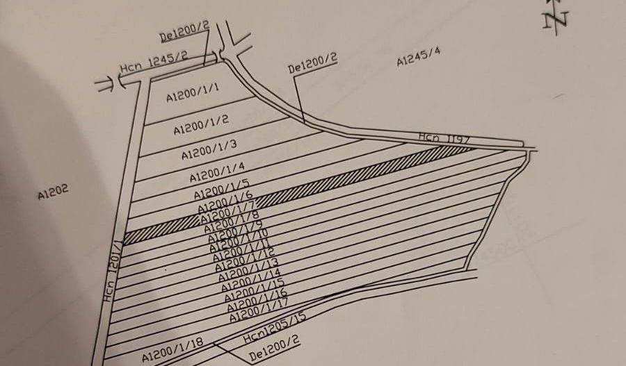 Teren 5.000 mp centura Calea Sagului- Freidorf. Comision 0 - Poză 6