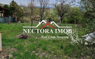 NECTORA IMOB-Teren Zona Podgoria,3400 mp (Intravilan + Extravilan) - Poză 5