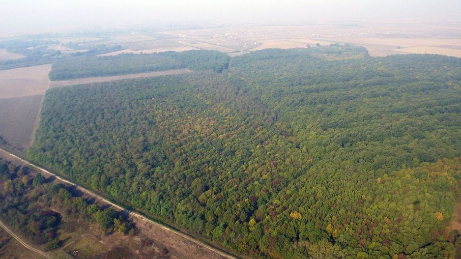 TEREN 847 MP SAG  - ZONA MANASTIRE - Poză 5