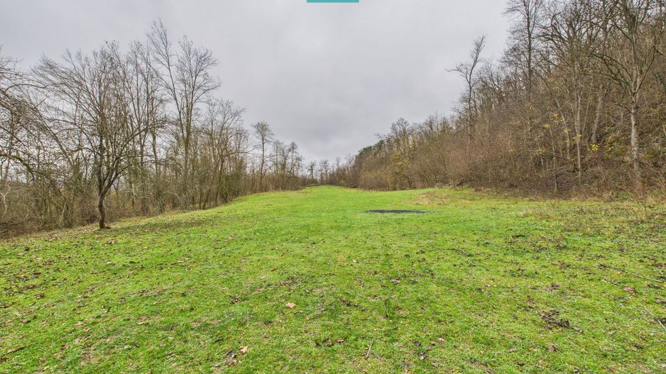 Casă cu teren de 24.679,73 mp, în Hălmagiu, Arad - Poză 17