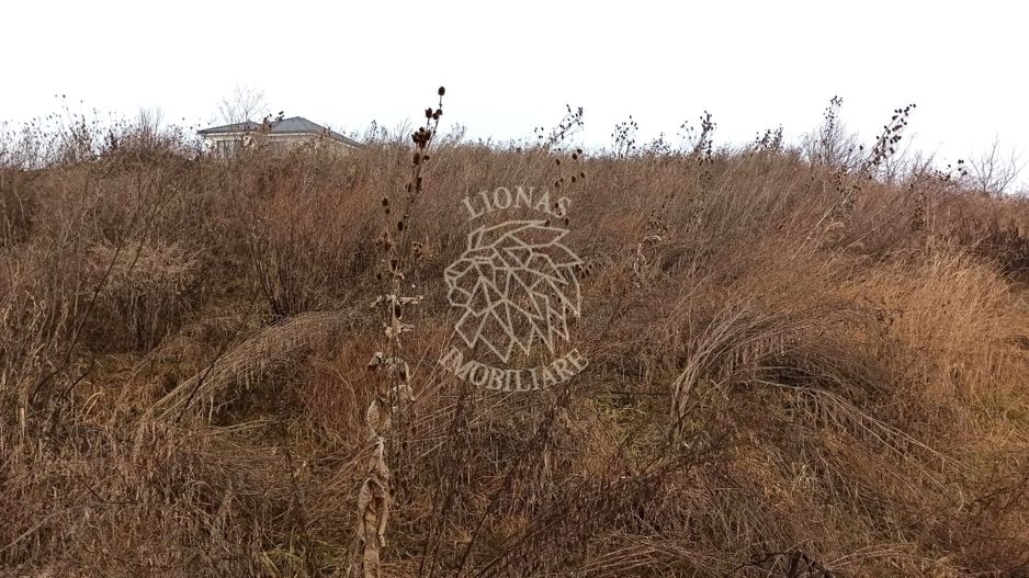 Teren intravilan 600 mp-ideal casa-Valea Sigmirului - Poză 1