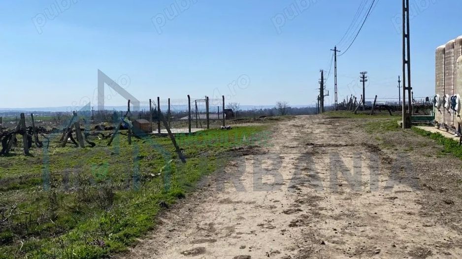 Teren de vanzare - Poză 9