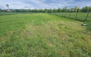 Teren Intravilan 3100 mp, 46 deschidere la strada, in Cristian - Poză 2