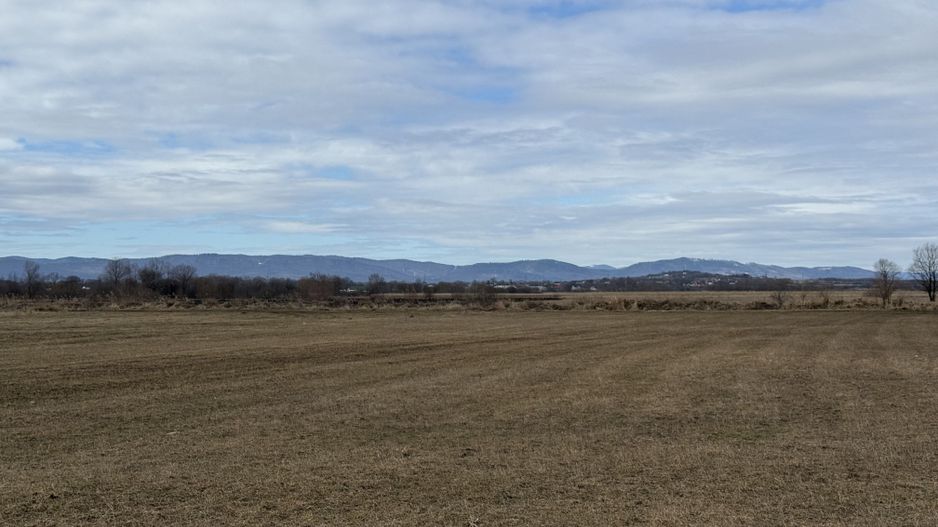 Teren extravilan | Rădăuți – zona Jalcău | 3.900 mp | 41 m front - Poză 2