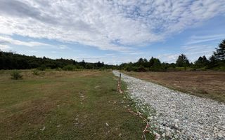 Teren intravilan de vanzare I 1990 mp I Valea Avrigului – lângă Cabana Aris - Poză 3