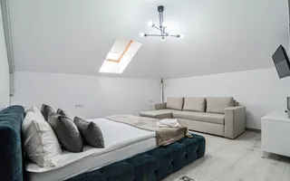 Penisune - Afacere la cheie 9 camere de vanzare la 20km de Cluj-Napoca - Poză 49