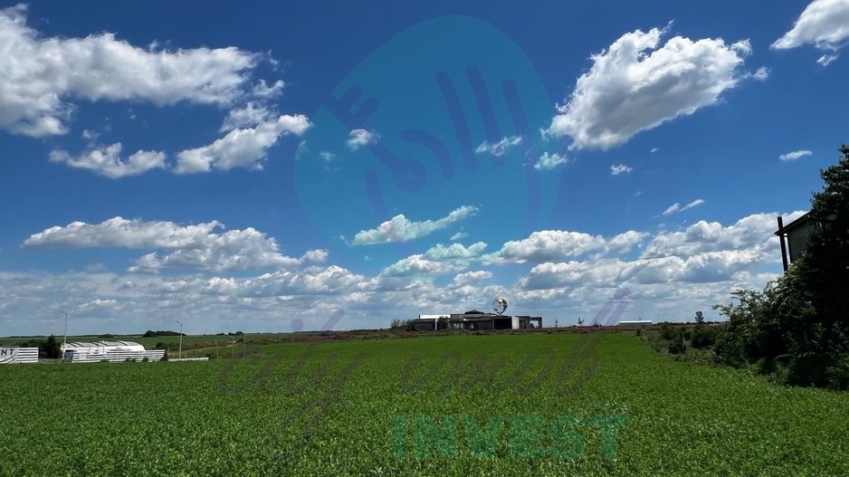 Teren intravilan 1.000 mp | Lângă Balta Pasărea | 20 de min de București - Poză 5