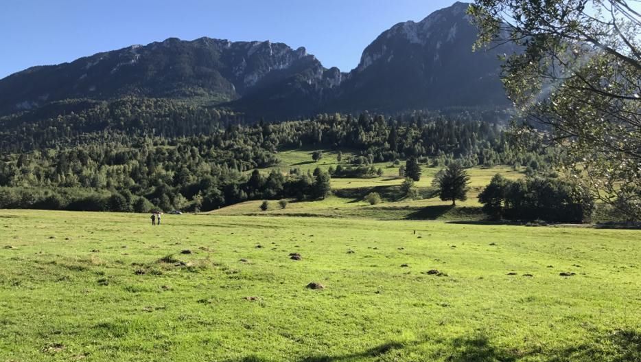 Teren intravilan in Plaiul Foii, Zarnesti - Poză 1