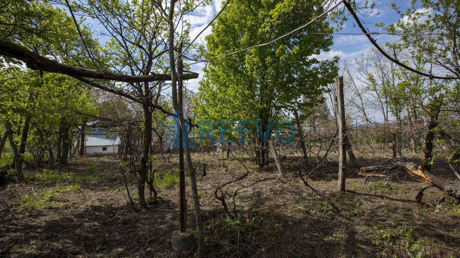 Casă de vânzare în Blăgești, Bacău - Poză 34