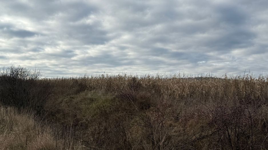 VAND TEREN 46 ARI | VOLOVAT | 47.000 EURO | - Poză 2