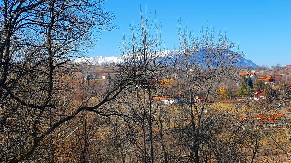 Bran-Sohodol, Teren 4039mp cu casă bătrânească, utilități, comision zero. - Poză 3