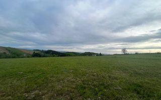 TEREN DE VANZARE IN SINTEU - Poză 1