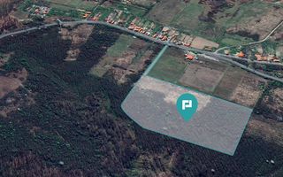Teren de vânzare – 5,47 ha | Dealul Viilor, Lugoj - Poză 4