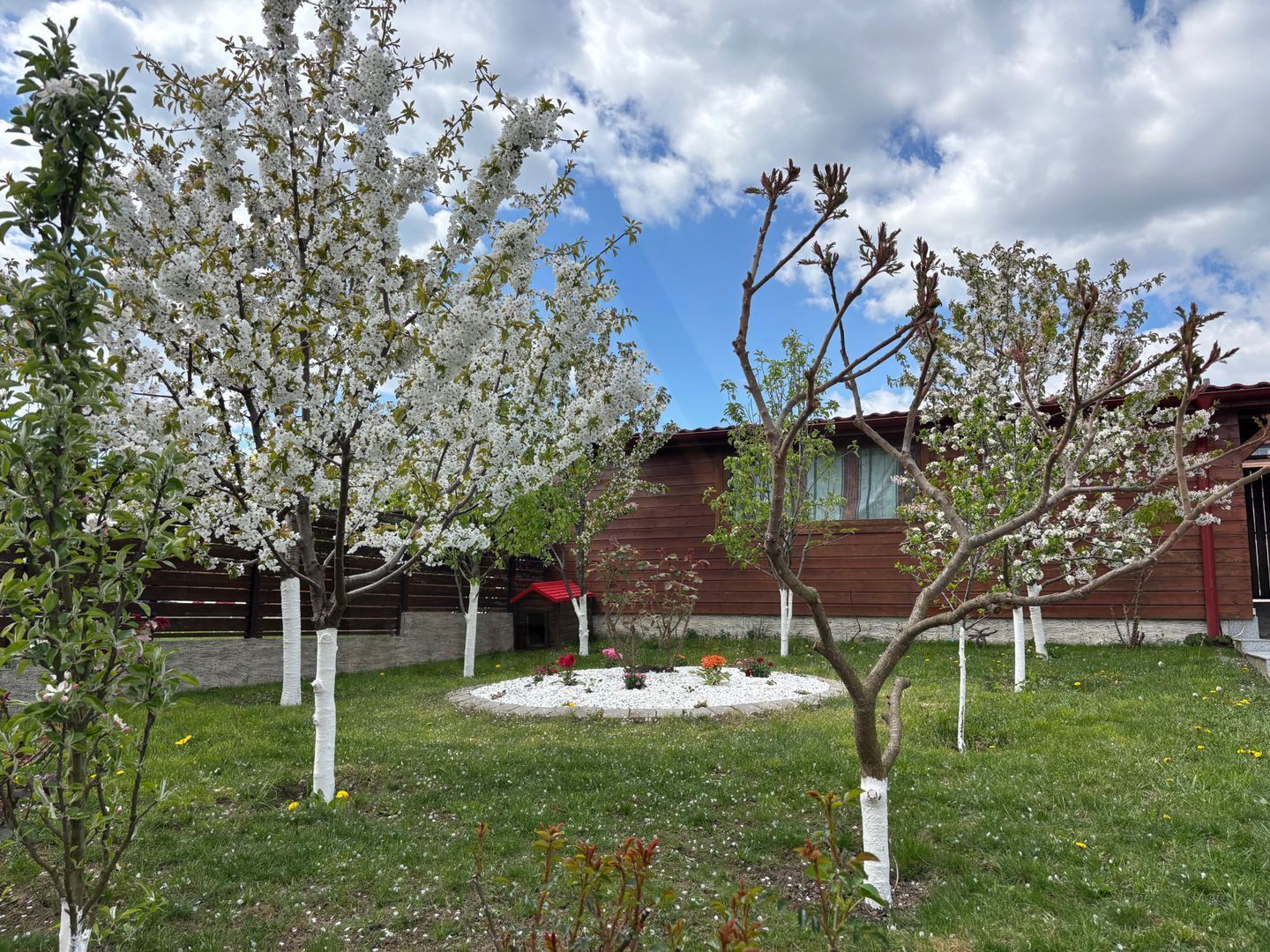 Casa la cheie 5 camere 250 mp curte libera 4 bai P+1+M Arhitectilor - Poză 3