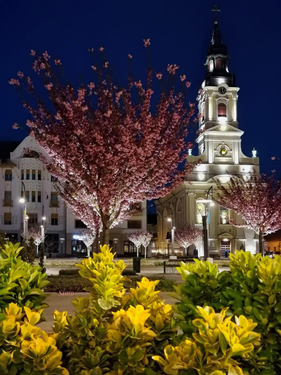 ,,BISERICA CU LUNA,, ORADEA&nbsp;