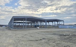 Hale Industriale NOI DN2 Afumati|15 Unități | Acces TIR + Vizibilitate - Poză 14