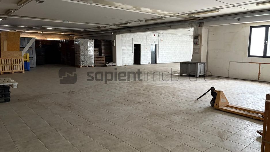 Sapient | Hală situata în com. Borș - Poză 4