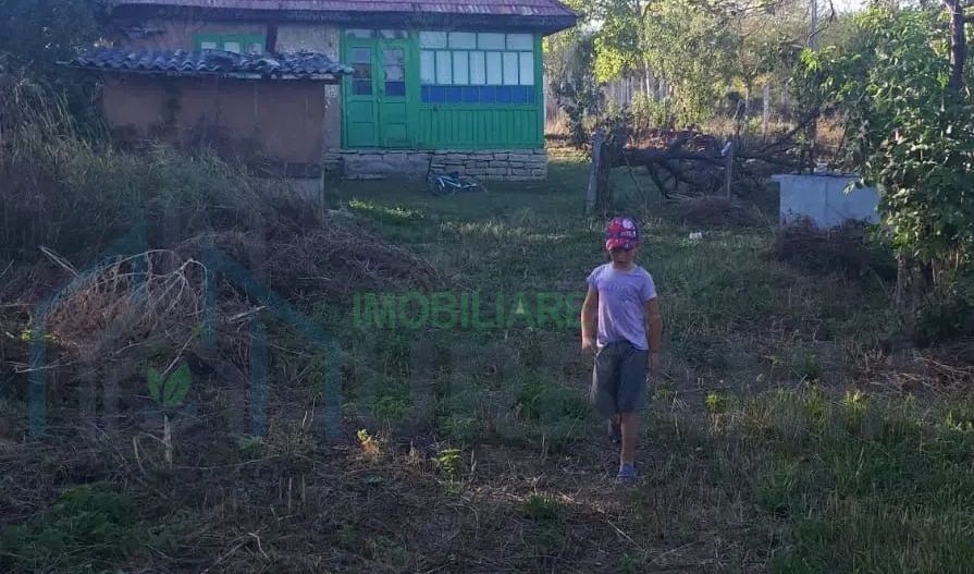 SUPER OFERTĂ: 5000 mp,gaze,canalizare, curent jud Iasi Loc. Ceplenita - Poză 3