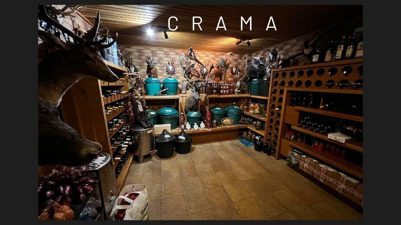 Gradina Japoneza SPA Crama Teren Tenis Foisor Iaz Pesti .. - Poză 14