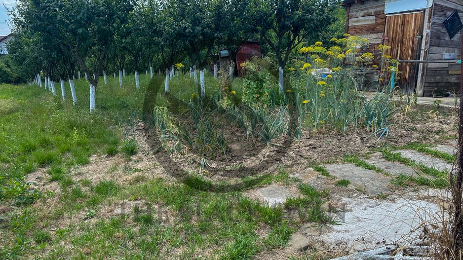 Casa cu 5 camere de vanzare | 700 mp teren | Valea Dulce, Prahova - Poză 20