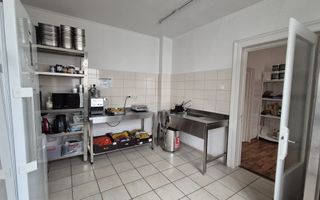 Spațiu Comercial de Vânzare în Domenii – 14 Camere, 351 mp Teren - Poză 3