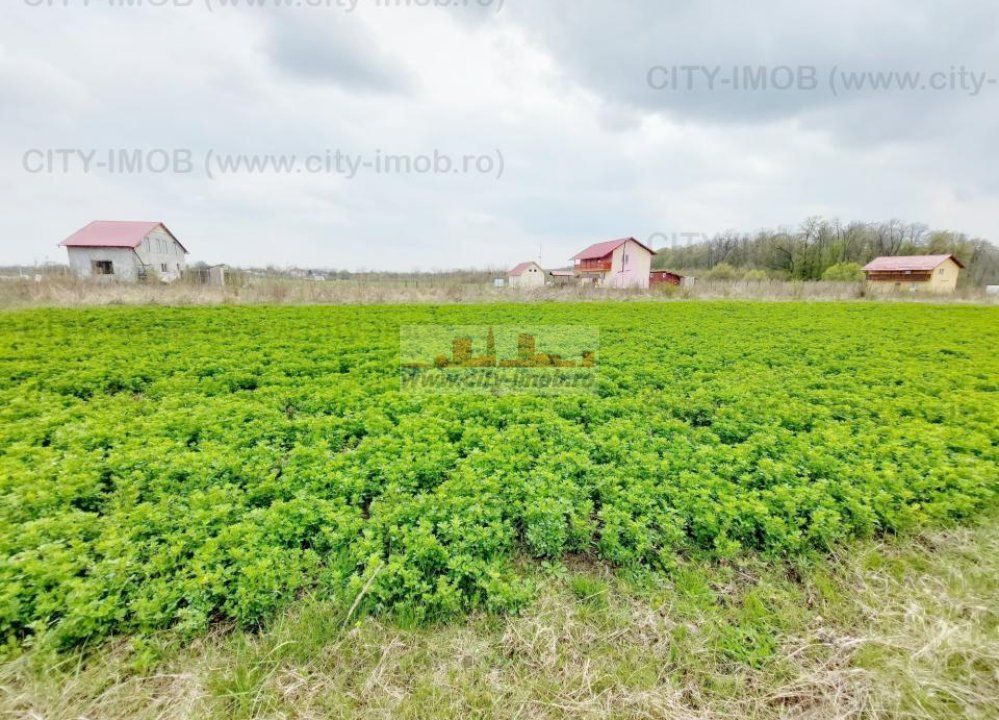 Teren de vanzare Cocani, Crevedia, langa  padure Dambovita - Poză 8