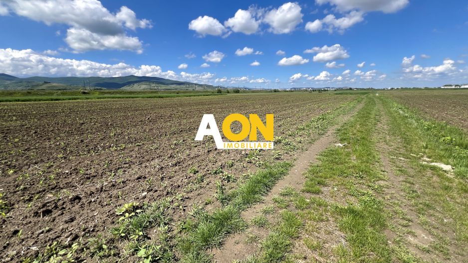 Teren Mixt Industrial de vanzare, 4660mp,  deschidere 41ml - Poză 4