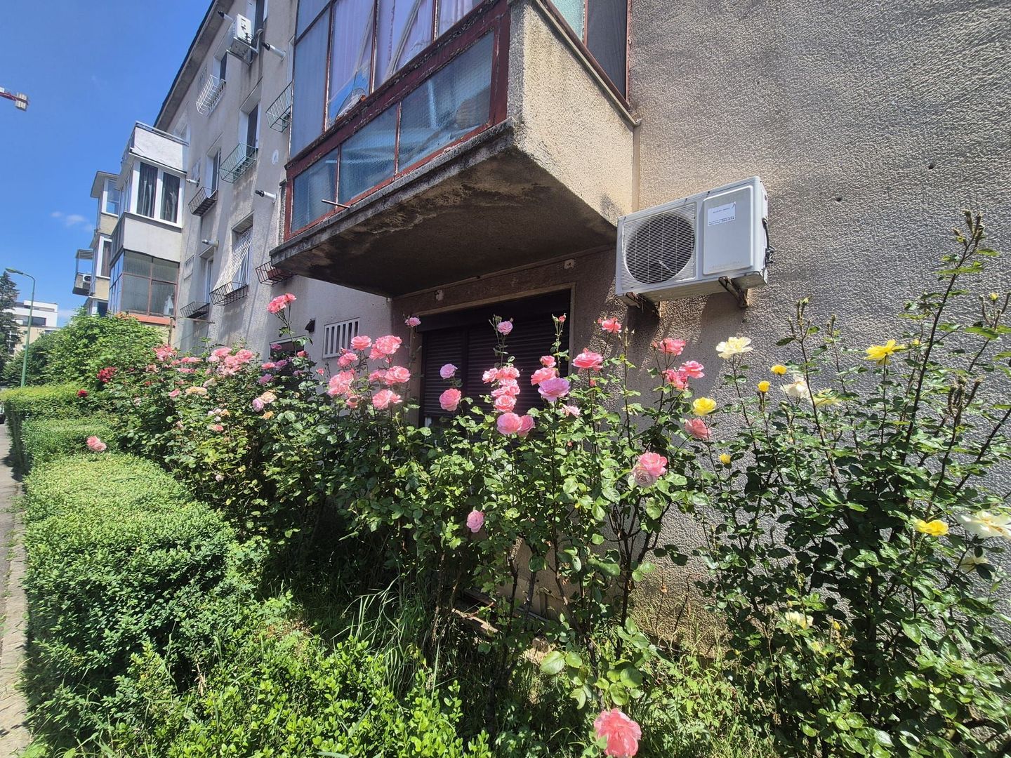Centru Civic, apartament pet friendly - Poză 10