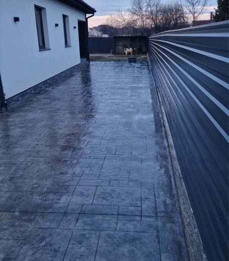 Vand casa str. Giulia ( odoreului ) - Poză 8