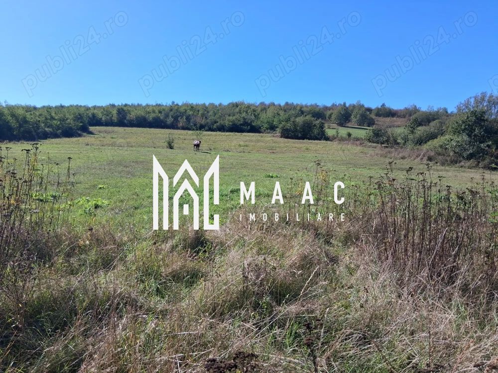 Teren | 3.600 mp | Ariușd | Lângă Olt | 25 km de Brașov - Poză 2
