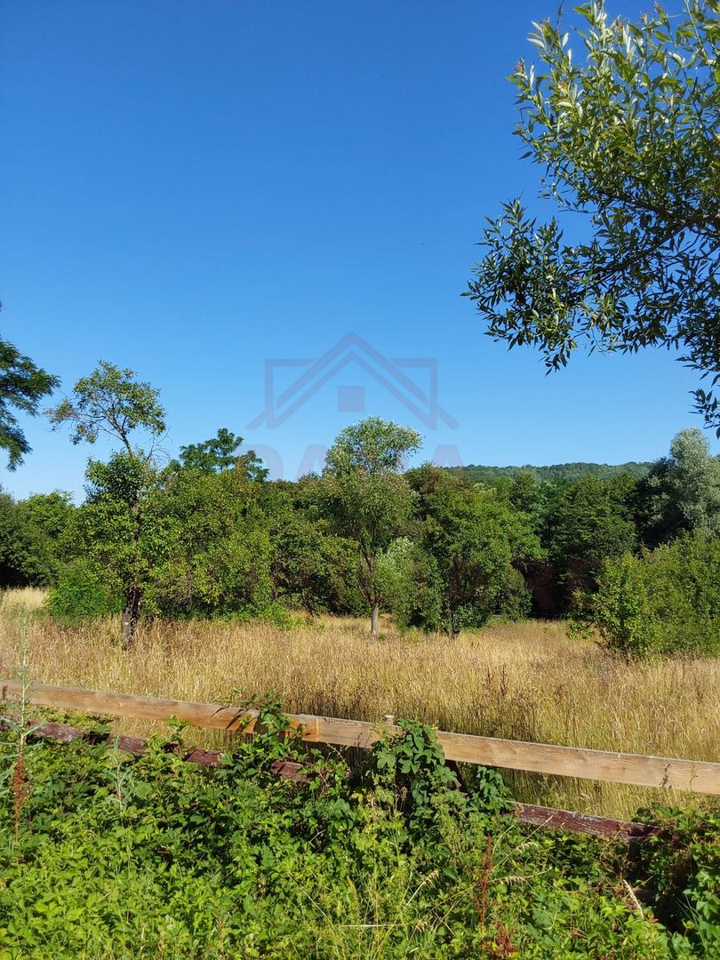 TEREN INTRAVILAN ZĂVOI\ZONA VALEA BISTREI, JUD.C-S - Poză 1