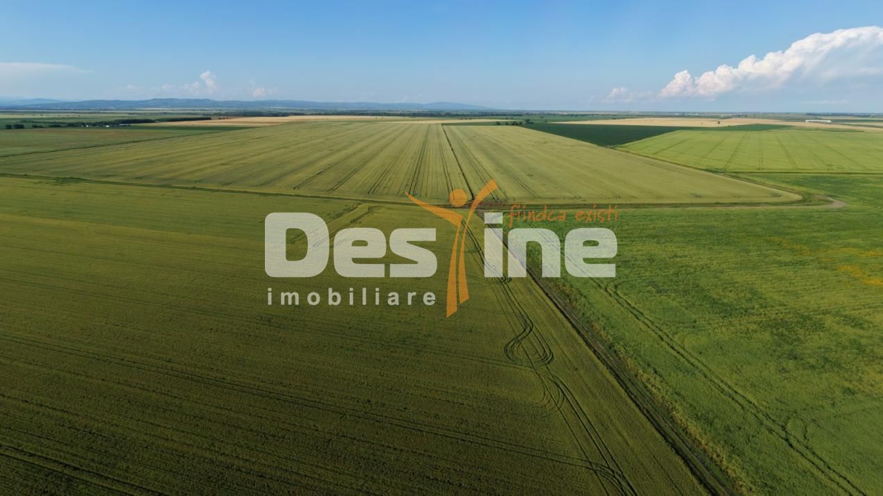 Teren extravilan, neimprejmuit, disponibil imediat, Dumbrava, Prahova - Poză 8