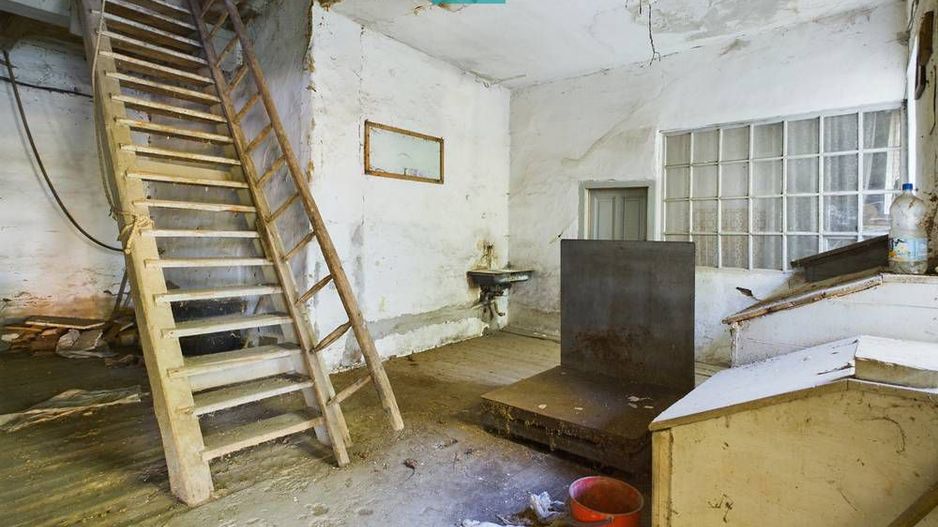 Oportunitate de investitie,  Moara Zimandu-nou - Poză 5