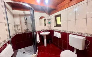 Proprietate deosebita de vanzare – Voinesița, Comuna Voineasa - Poză 18