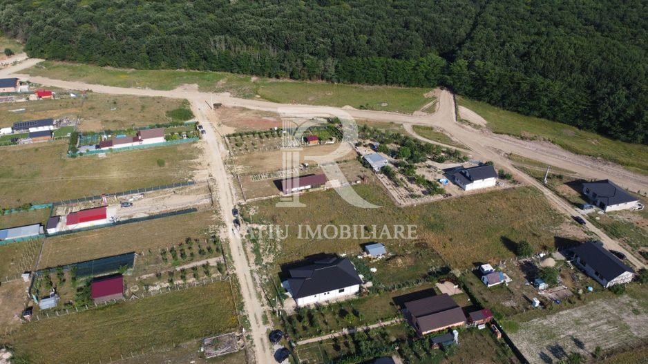 Teren Intravilan 1.111 mp | Utilități la Teren | Alparea | Bihor - Poză 3