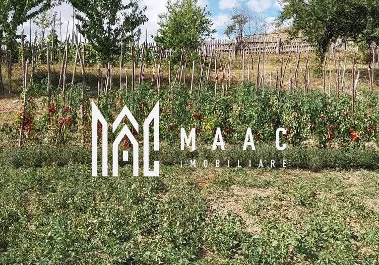 Proprietate cu 60000 mp pamant la pret de apartament - Poză 26