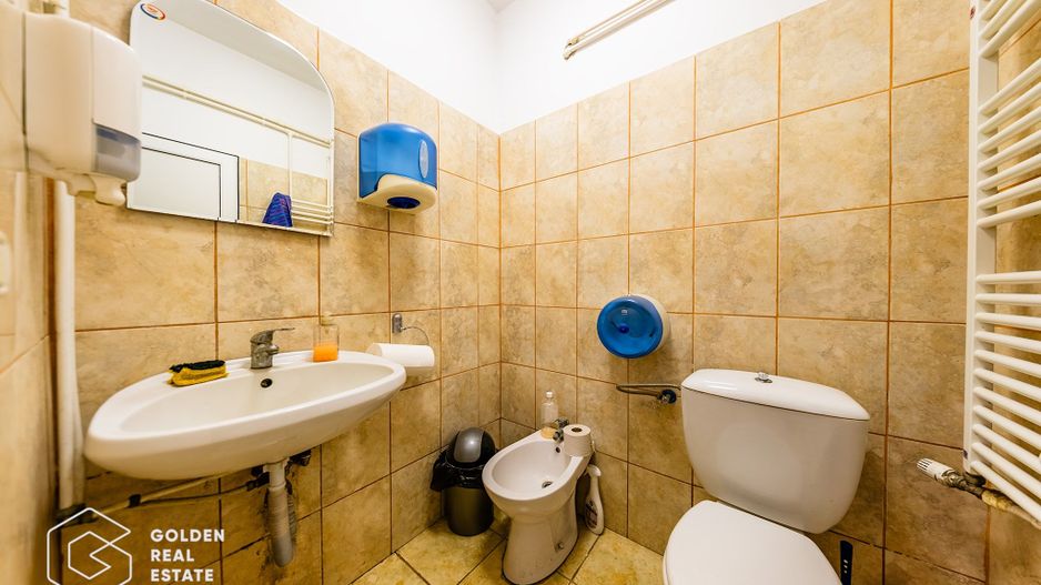 Hala industriala, Pecica, județul Arad - Poză 24