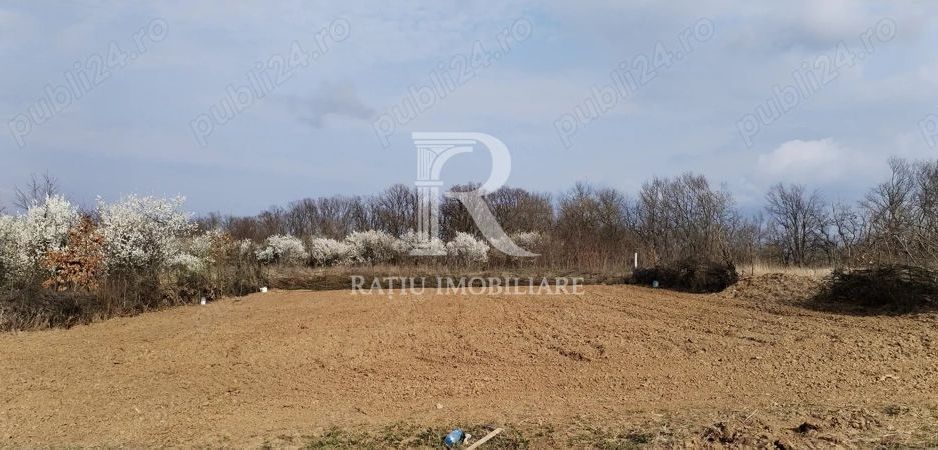 Teren intravilan 888 mp | Front 24 ml | Paleu - Poză 5