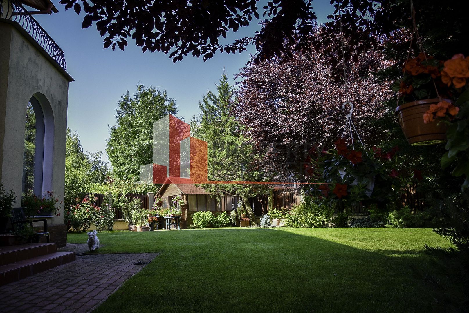 Vila spatioasa cu teren mare Jollie Ville - Poză 6