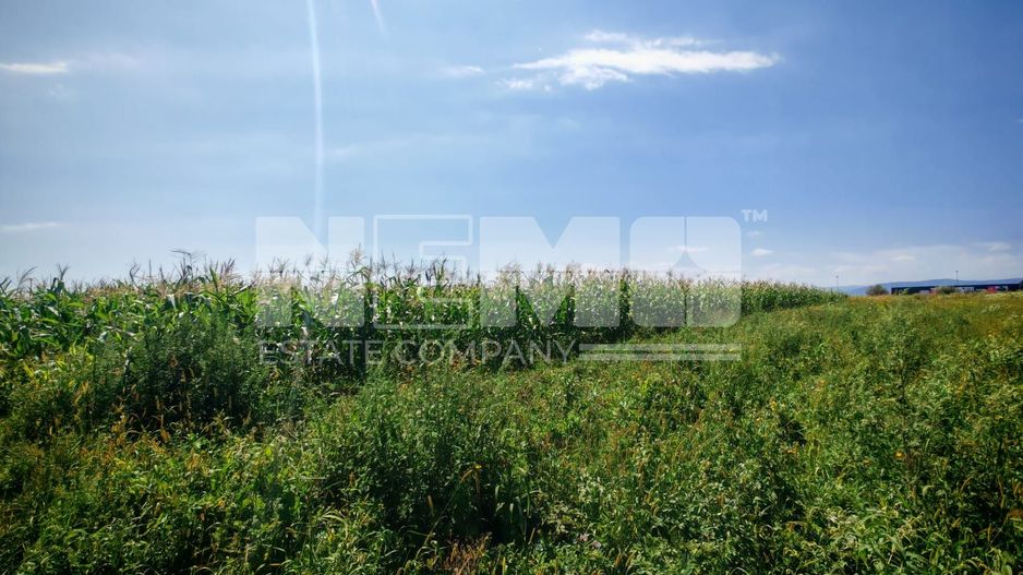 Teren Centura Radauti | 25 Ari | 12 m Front - Poză 1