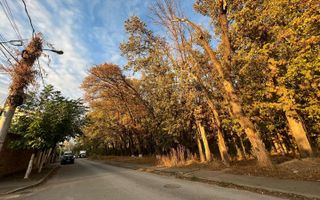 Teren intravilan - vanzare - Colentina - Padurea Andronache - Poză 4