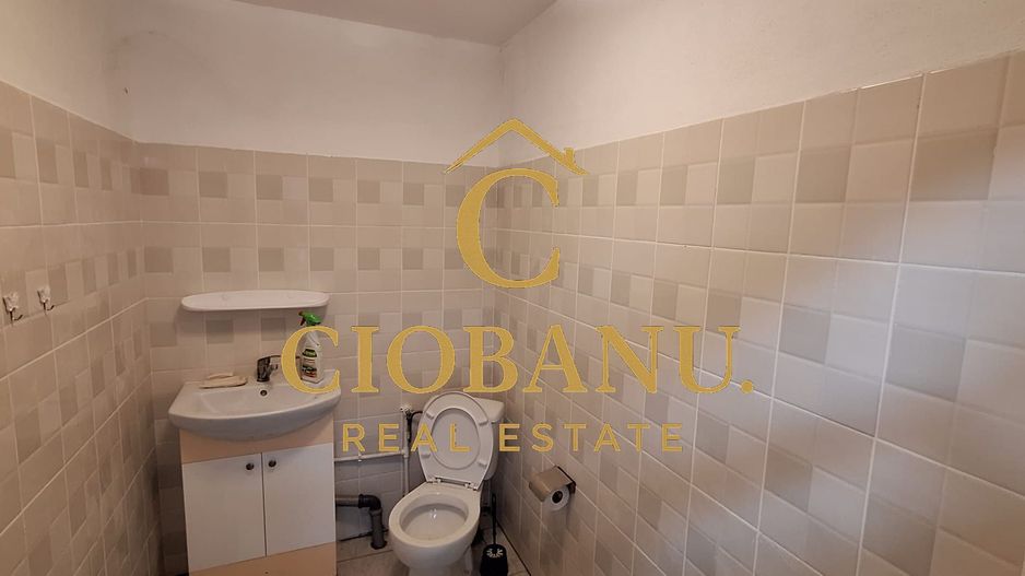 Hala de vanzare in Racarii de Jos - Poză 7