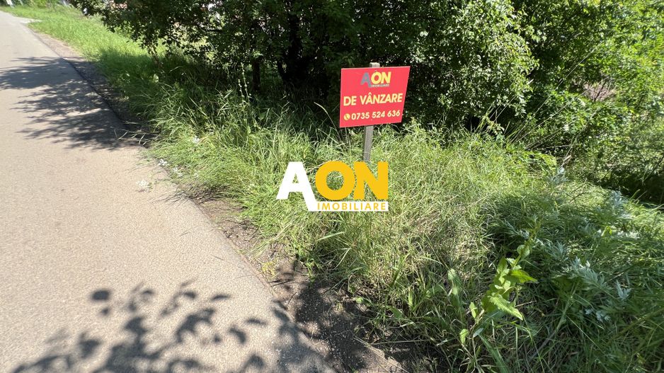 Teren de vanzare cu toate utilitatile si asfalt, 1001MP - Poză 2