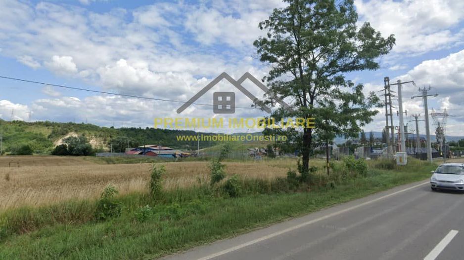 Teren in Onesti 10000 mp - Poză 1